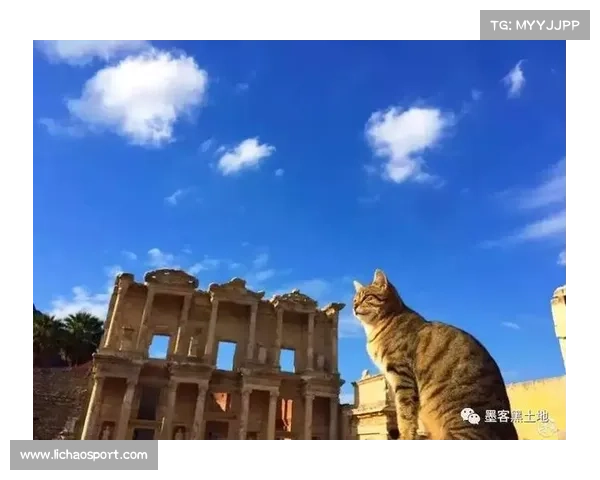 熊猫人与水流之灵:奇妙的游戏之旅 熊猫人与水流之灵:奇妙的游戏之旅